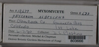 Image Associated With the Occurence
